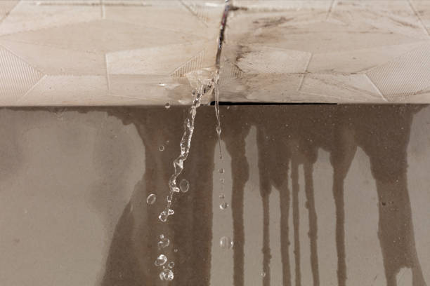 Professional Structural Drying technician working in Casstown, OH